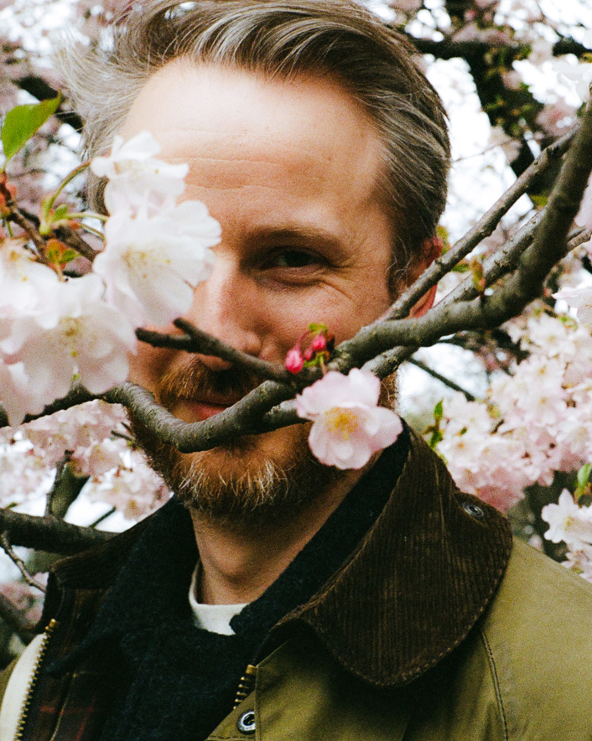 Connor among cherry blossoms
